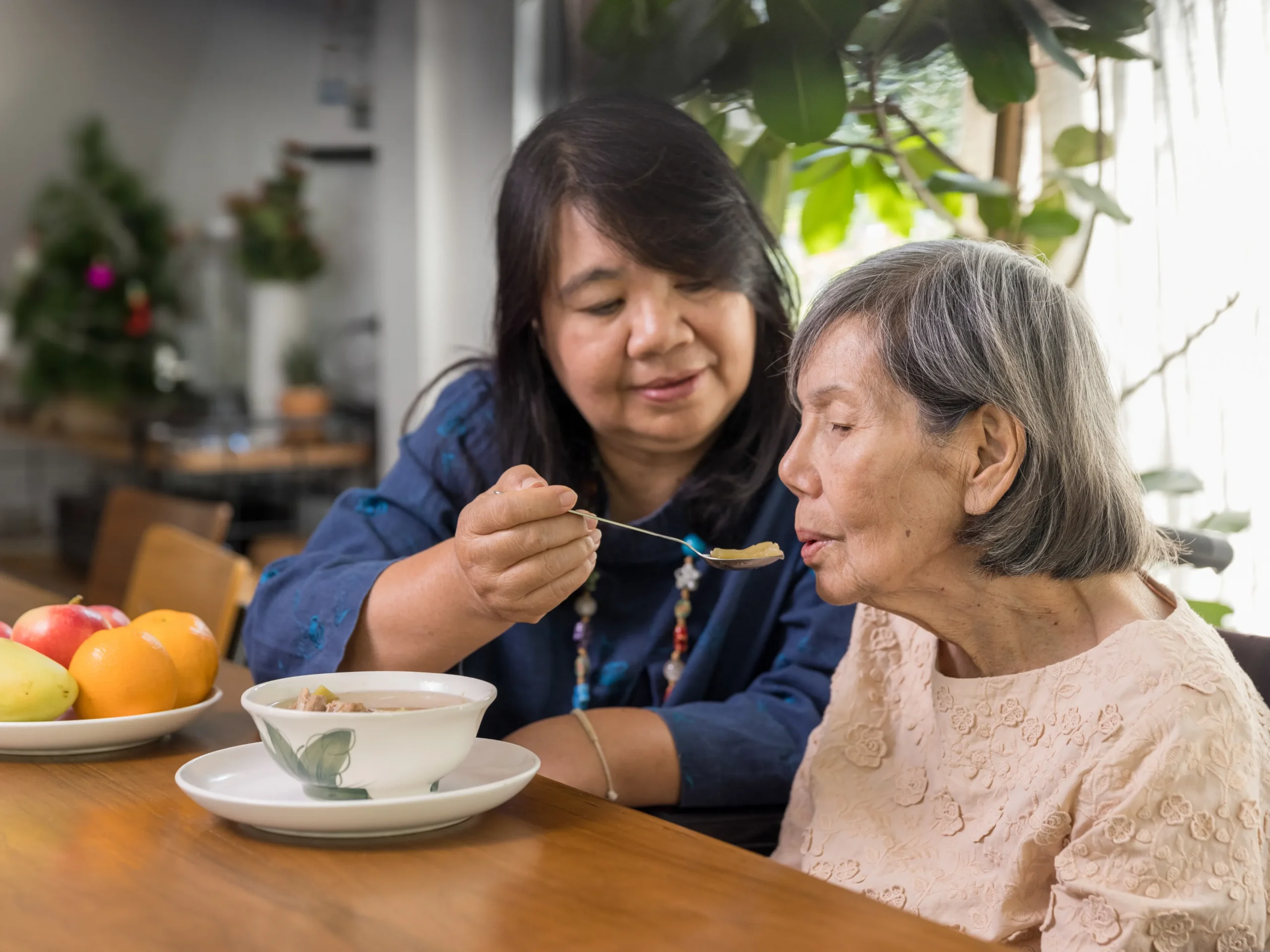 woman feeding elderly woman soup