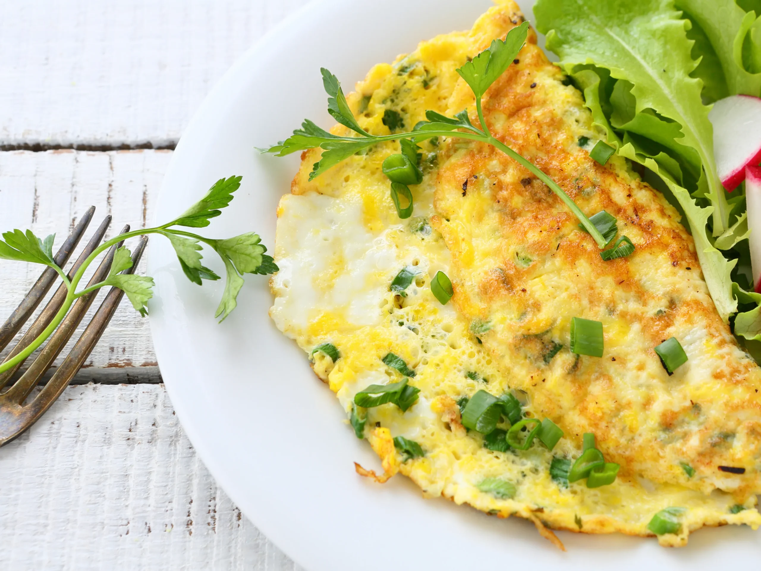 omelet on a plate - good meal for seniors 